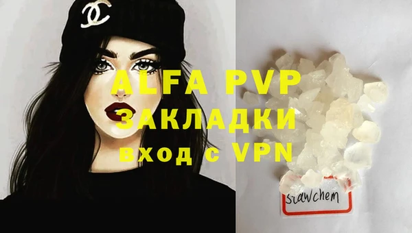 PSILOCYBIN Каменка