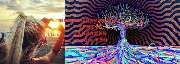 марки lsd Каменногорск