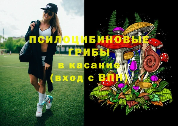 PSILOCYBIN Каменка