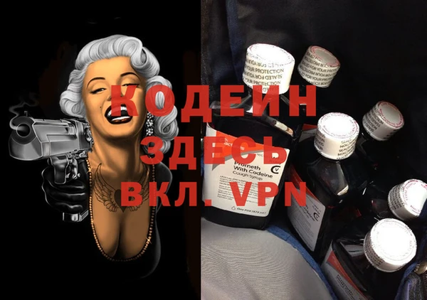 PSILOCYBIN Каменка