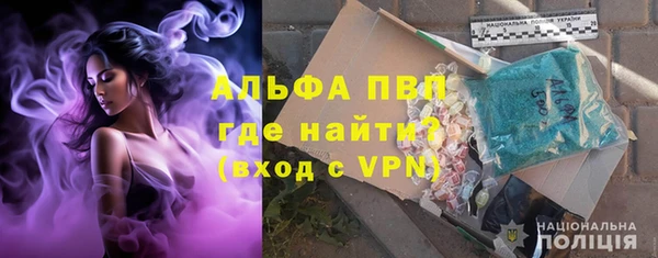 PSILOCYBIN Каменка