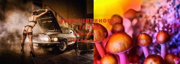 марки lsd Каменногорск